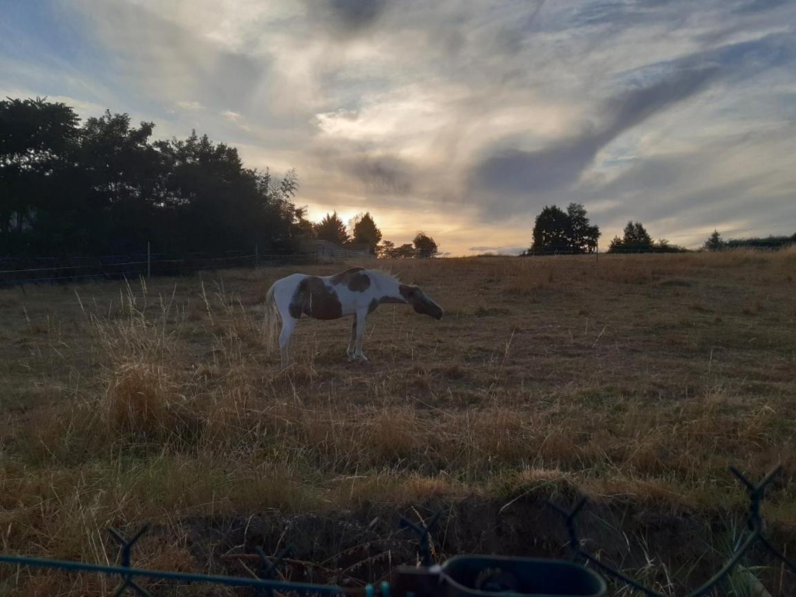 Maison Blanche Piscine Et Petit Dejeuner Châtellerault Exteriér fotografie